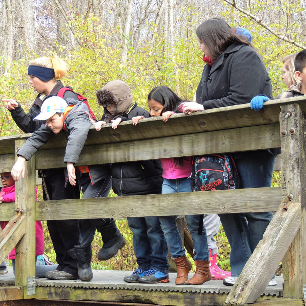 Elementary class on bridge at Sara Arnovitz Preserve