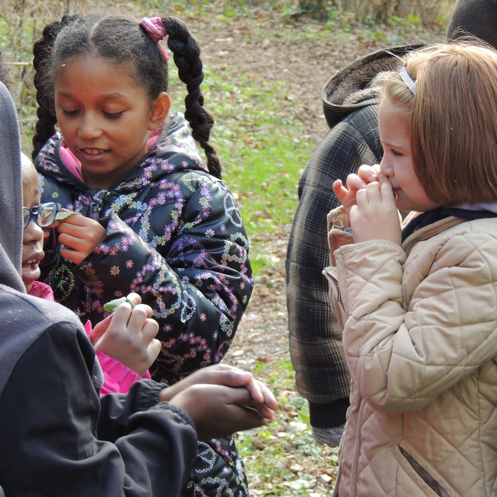 Children learning at Sara Arnovitz Preserve