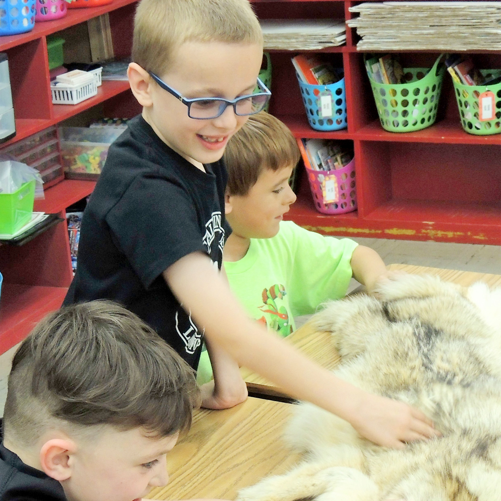 Children touching a rabbit pelt