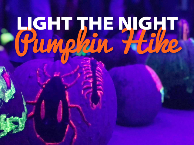 light-night-pumpkin