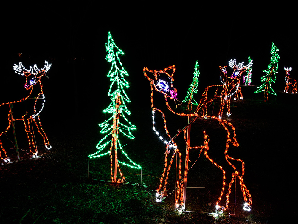 Park christmas lights deer