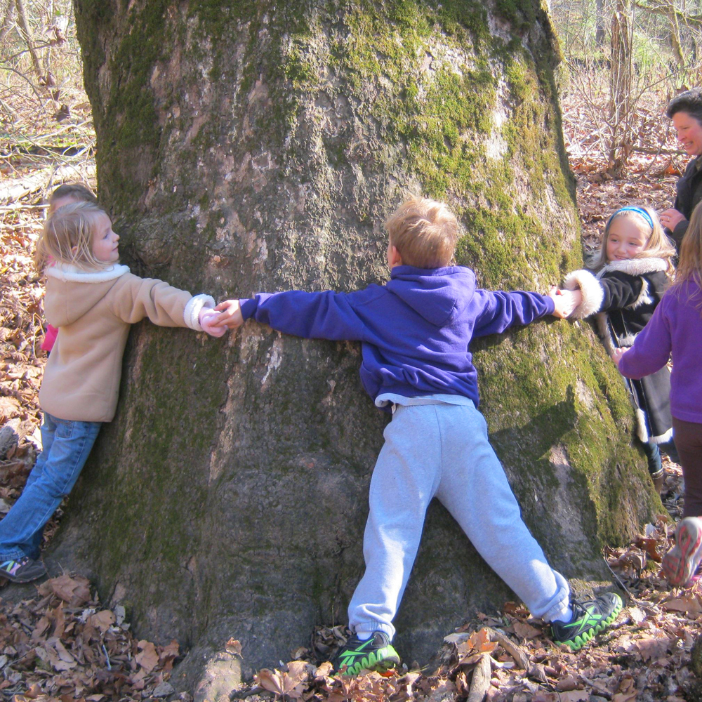 Little kids hugging a tree